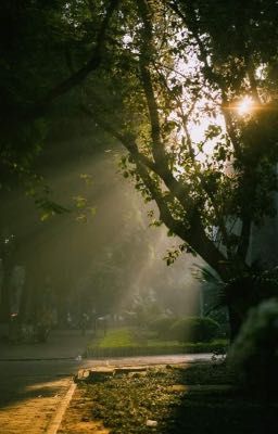 [TF Gia Tộc F4] Gửi Cho Chúng Ta