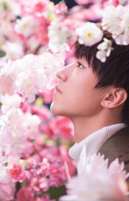 [TFBoys] Cuộc Hôn Nhân Giao Dịch