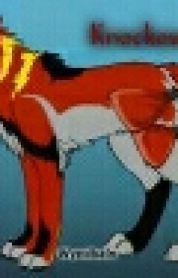 TFP wolves