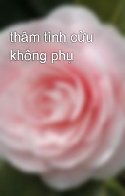 thâm tình cửu không phụ 