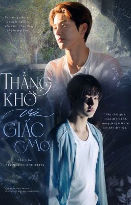 Thằng khờ và giấc mơ
