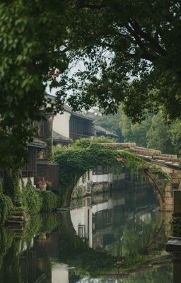 Thanh Dạ Tư Nguyệt 