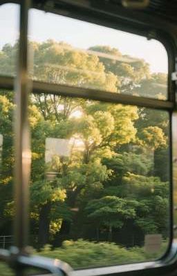 Thanh Xuân Gửi Lại