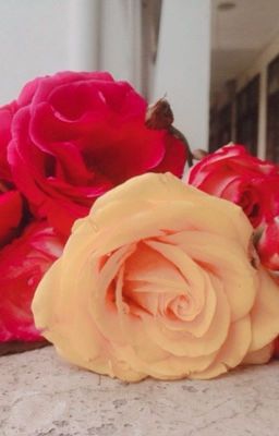 Thanh xuân năm đó