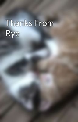 Thanks From Rye