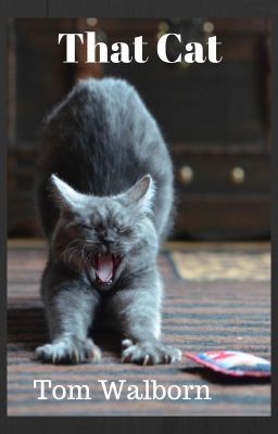 That Cat