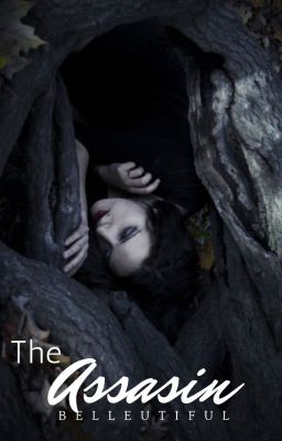 The Assassin (On Hold)
