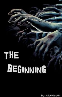 The Beginning