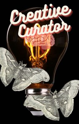 The Creative Curator