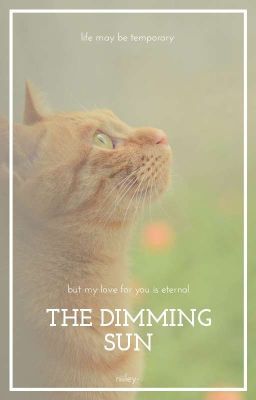 the dimming sun 