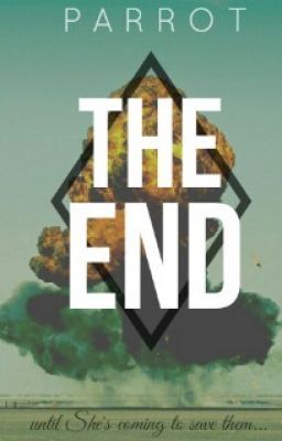 The End *On Pause*
