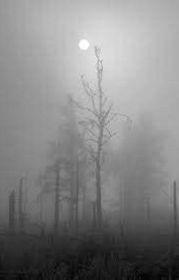 The Fog