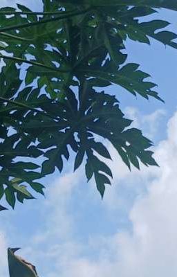 THẾ GIỚI CỦA THỜI GIAN