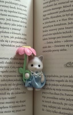 🍍🐰 | thế giới này (chán)