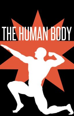 The Human Body