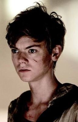 The Maze Runner (Newt X Reader)