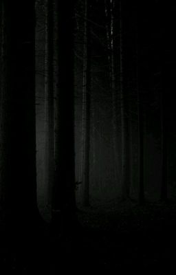 The mind forest 