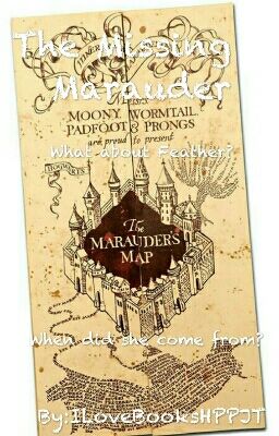 The Missing Marader