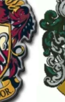 The Opposite Duo