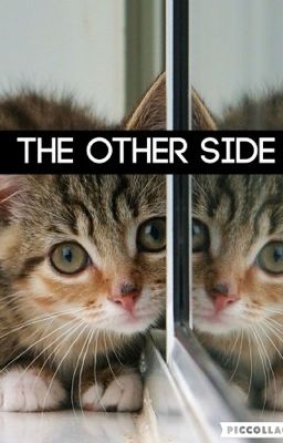 The other side