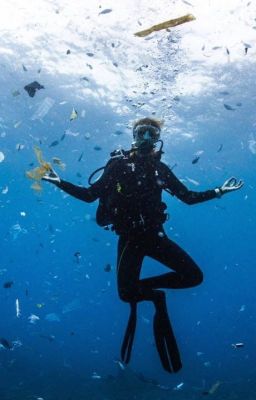 The plastic ocean