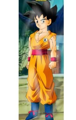 The Saiyan Ninja