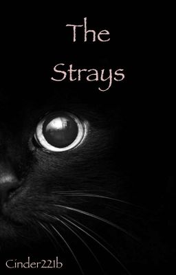 The Strays