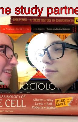 The Study Partner