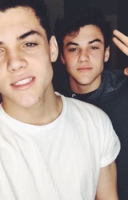 The Twins