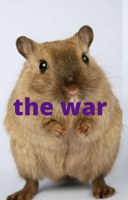 the war