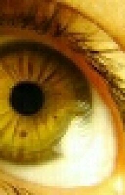 The Watcher