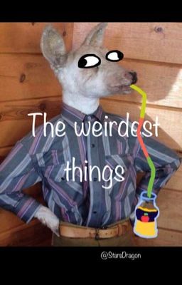 The weirdest things