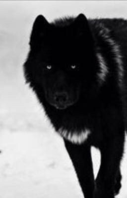 The Wolf Within