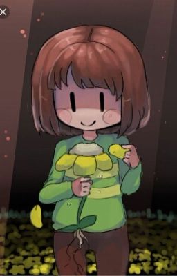 Theme Plz
