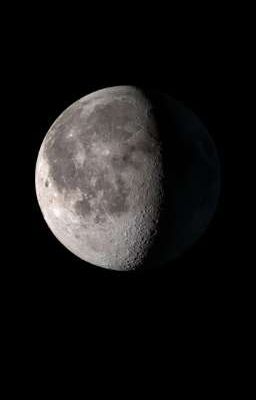 thích gì viết đó