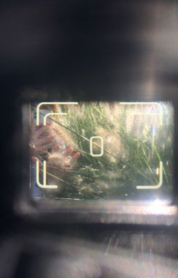 Thiều Quang Yến Nhật - Through Our Lens