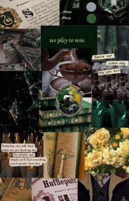 |Thiều Quang Yến Nhật| - Thuần Chủng và Máu Bùn