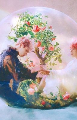 Thỏ Béo À ! Em Thoát Được Chứ ? [ Vkook]