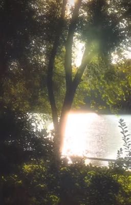 thomaskong | fall in love 