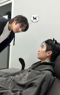 ThomasKong | HIỂU LẦM RỒI! | Textfic