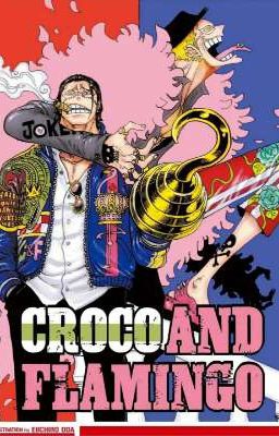 Thông Tin Về {Doflamingo,Crocodile}