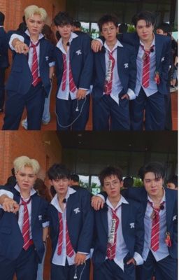 [THSH] Bộ tứ
