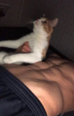 -THSH- Chìm sâu