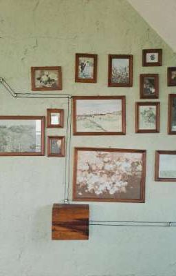 THSH - Ồn Quá Ồn.