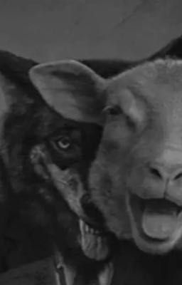 [THSH] Sếch 