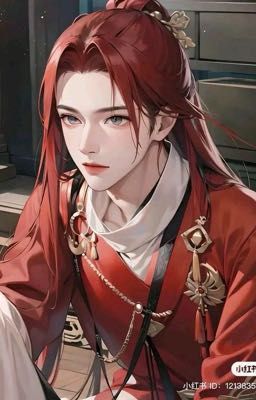 Thư đồng hằng ngày 