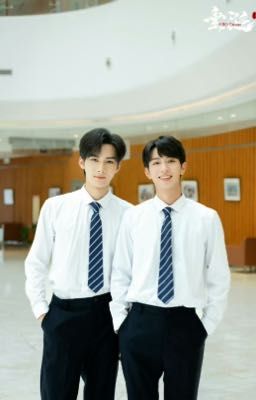 Thư Kí Nhỏ của Thẩm Tổng 