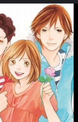 Thư Viện và Tay ( Rui x Tsukushi Boy overs follower)