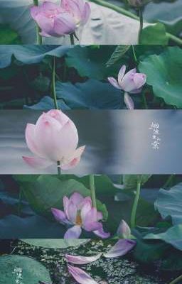 Thương | On2eus |