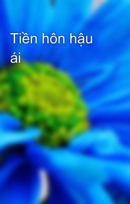 Tiền hôn hậu ái